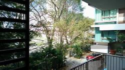 the-amarelle photo thumbnail #7